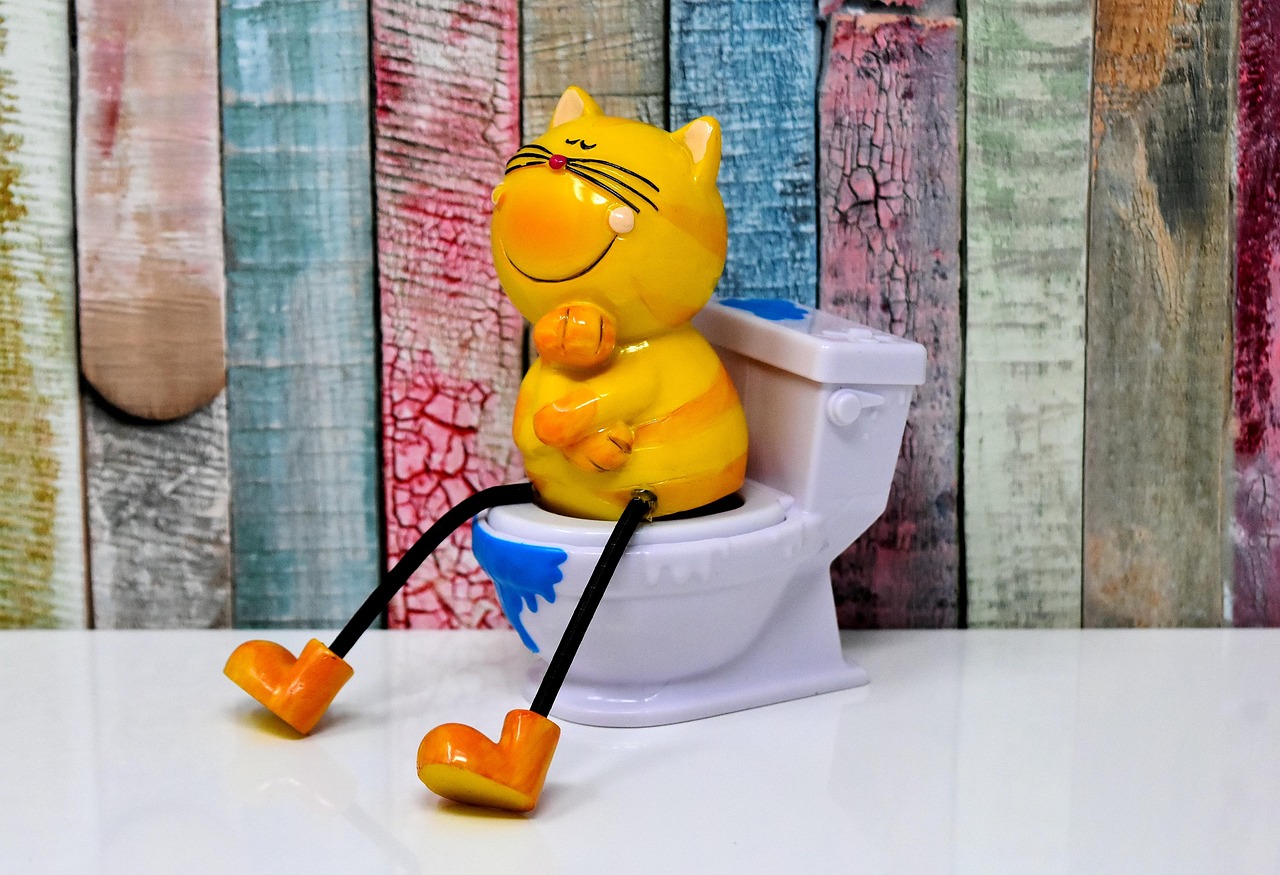 Best Cat Litter 2026: Odor Control & Easy Cleaning