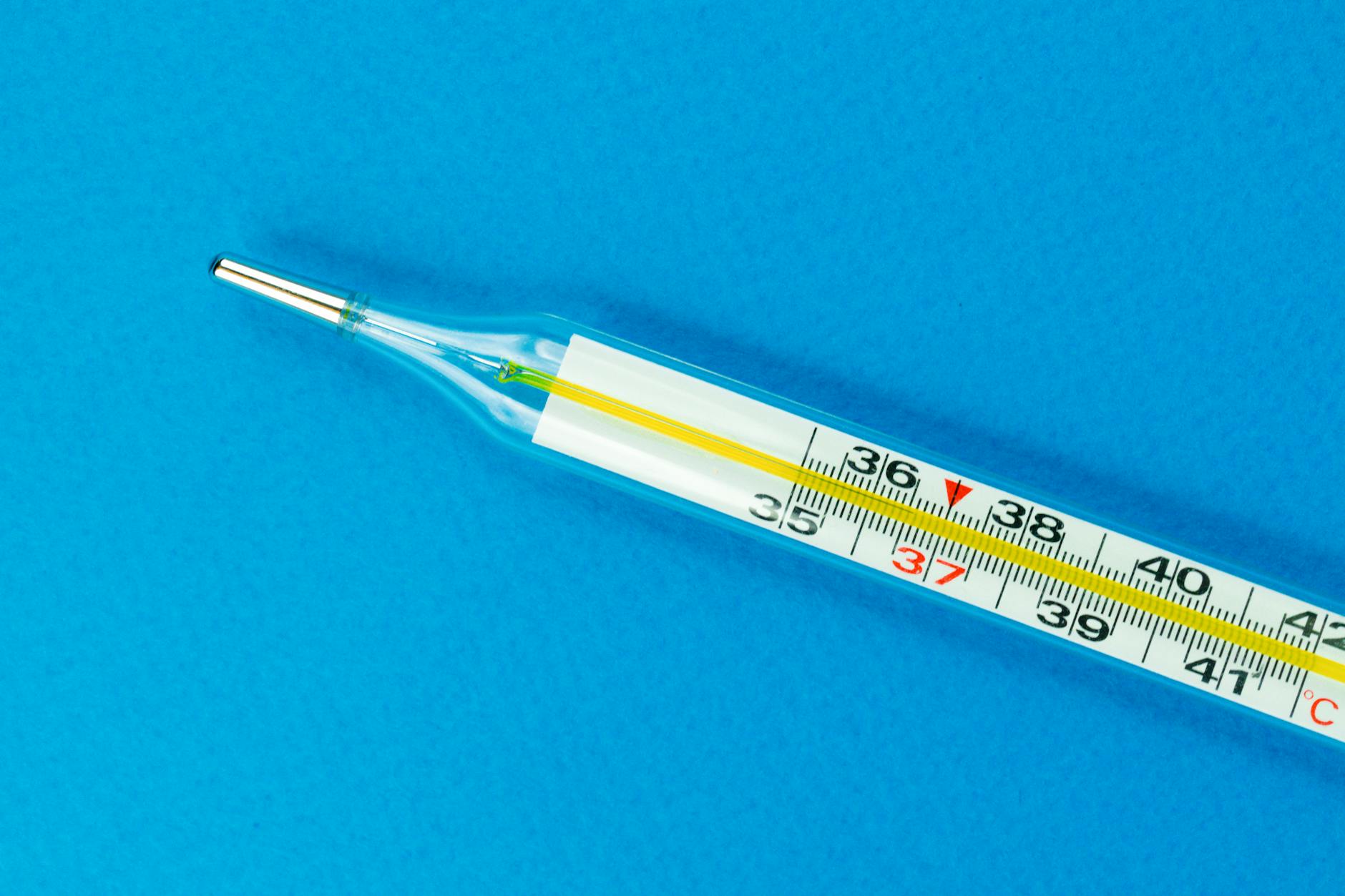 Instant Read Meat Thermometer Review: Digital Kitchen Tool with Great Accuracy