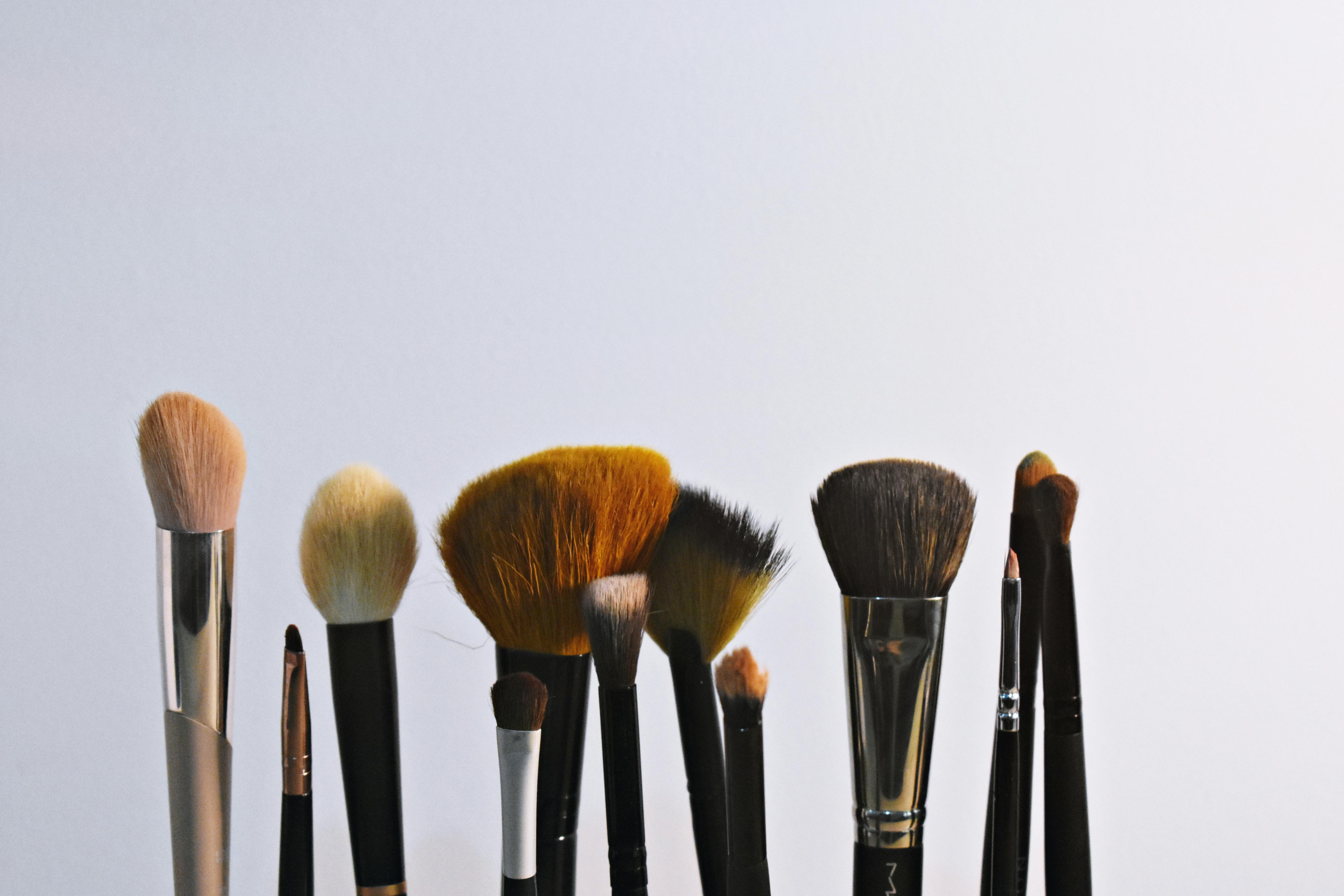 Sigma Beauty Brushes Review: Are They Worth the Hype?