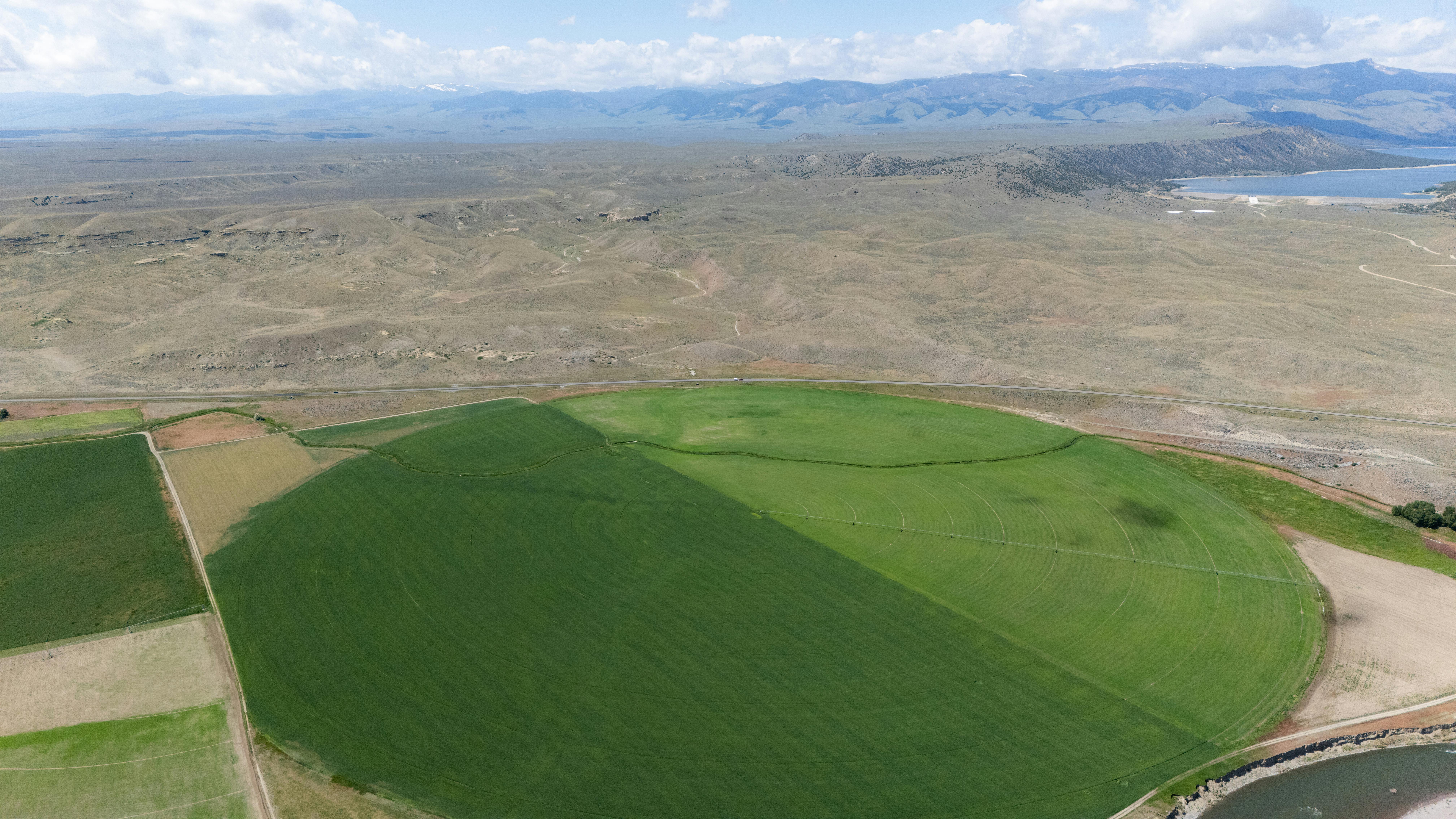 Yeti Rambler 20oz Tumbler In-Depth Review: Pros and Cons